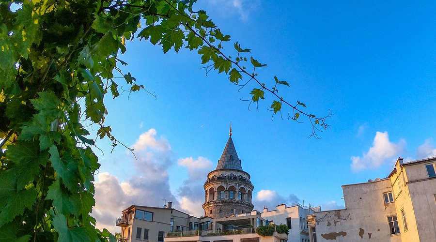 Fotoğraf 3