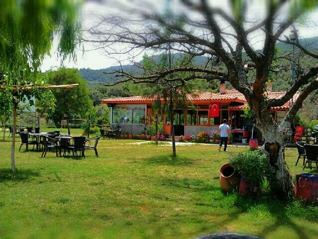 Fotoğraf 8